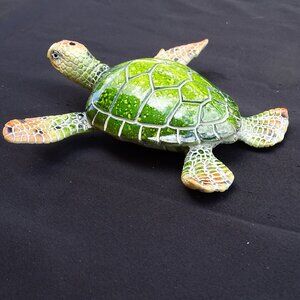 Adorable Loggerhead Sea Turtle